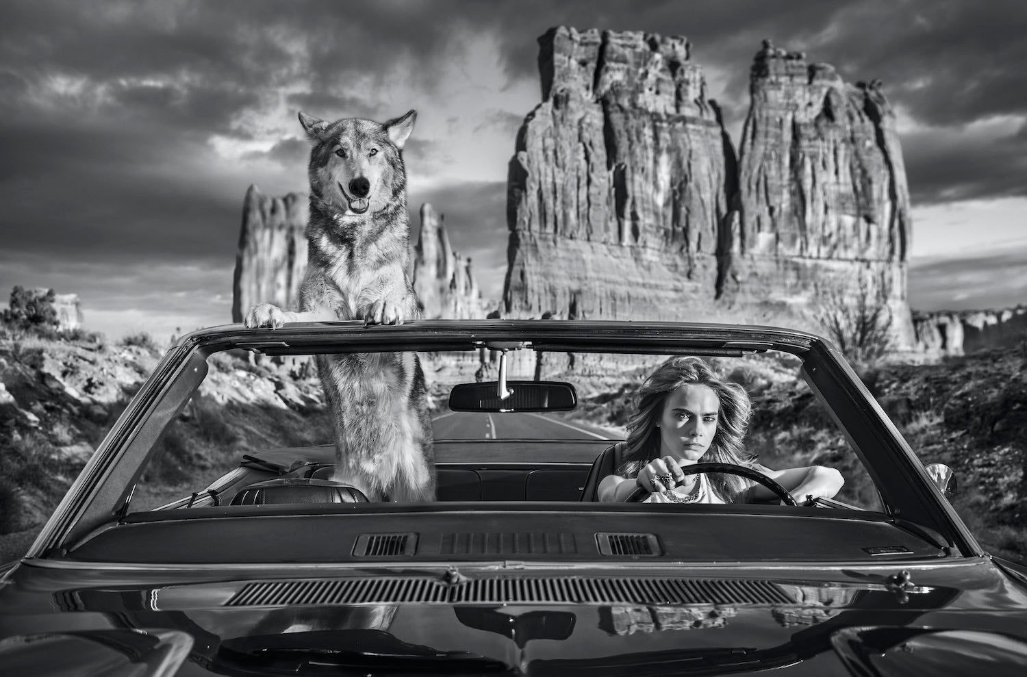 Drive by David Yarrow, limited edition photography