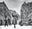 Bonnie by David Yarrow, limited edition photography