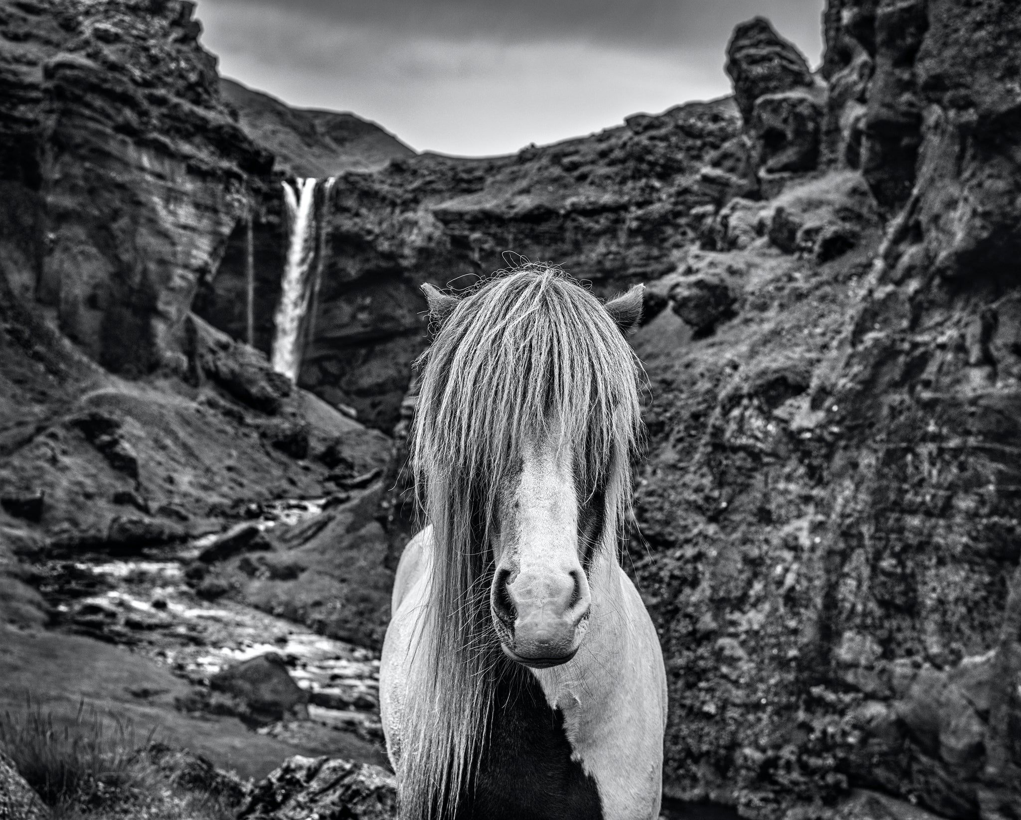 GOT by David Yarrow, limited edition photography