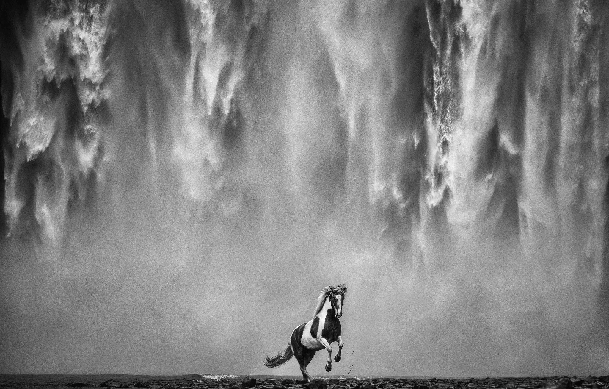 Legends of the Fall by David Yarrow, limited edition photography