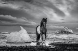 On The Rocks