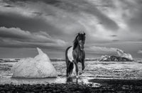 On The Rocks