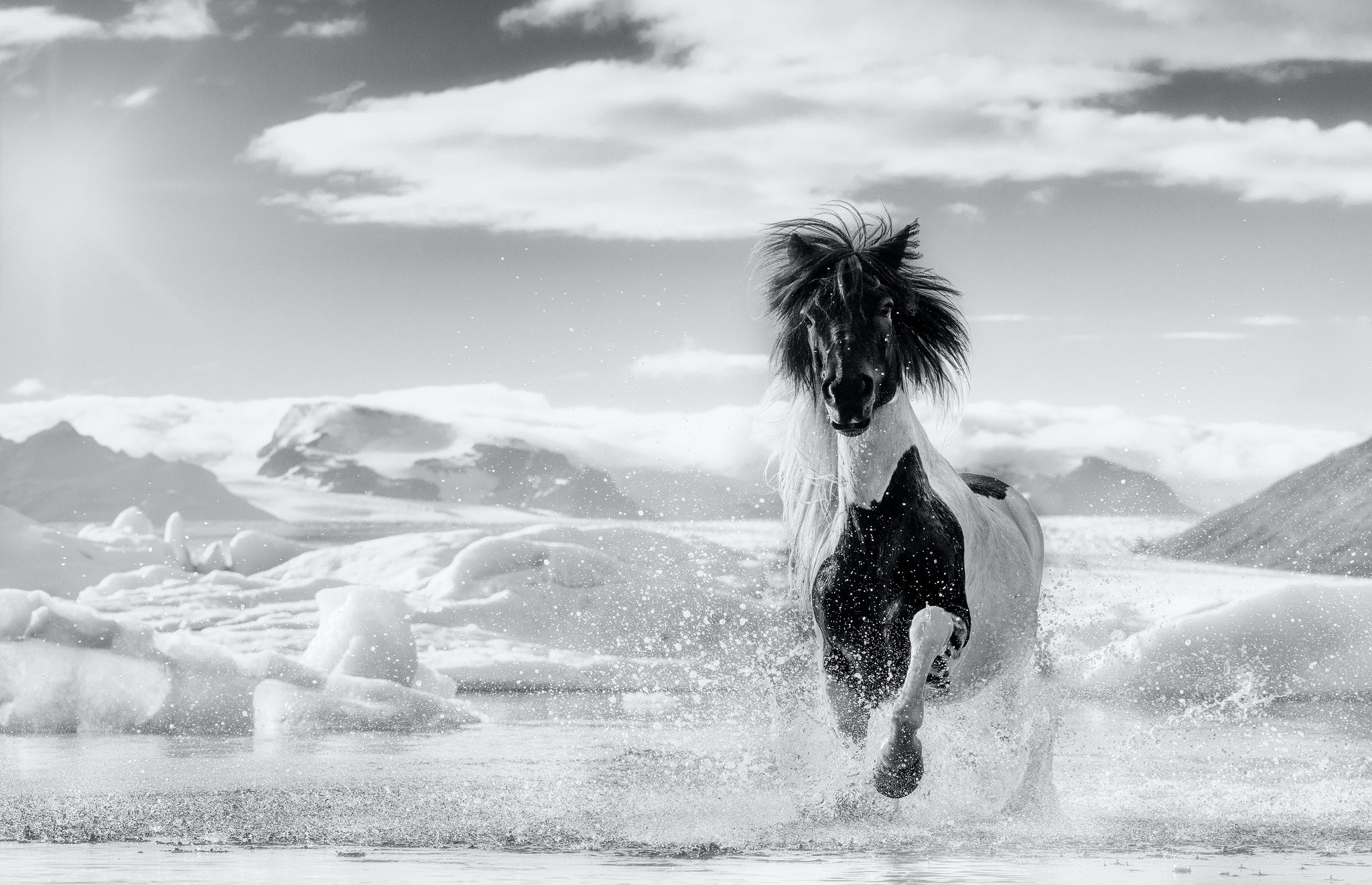 Punk by David Yarrow, limited edition photography