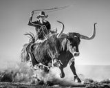 Ain't my first rodeo