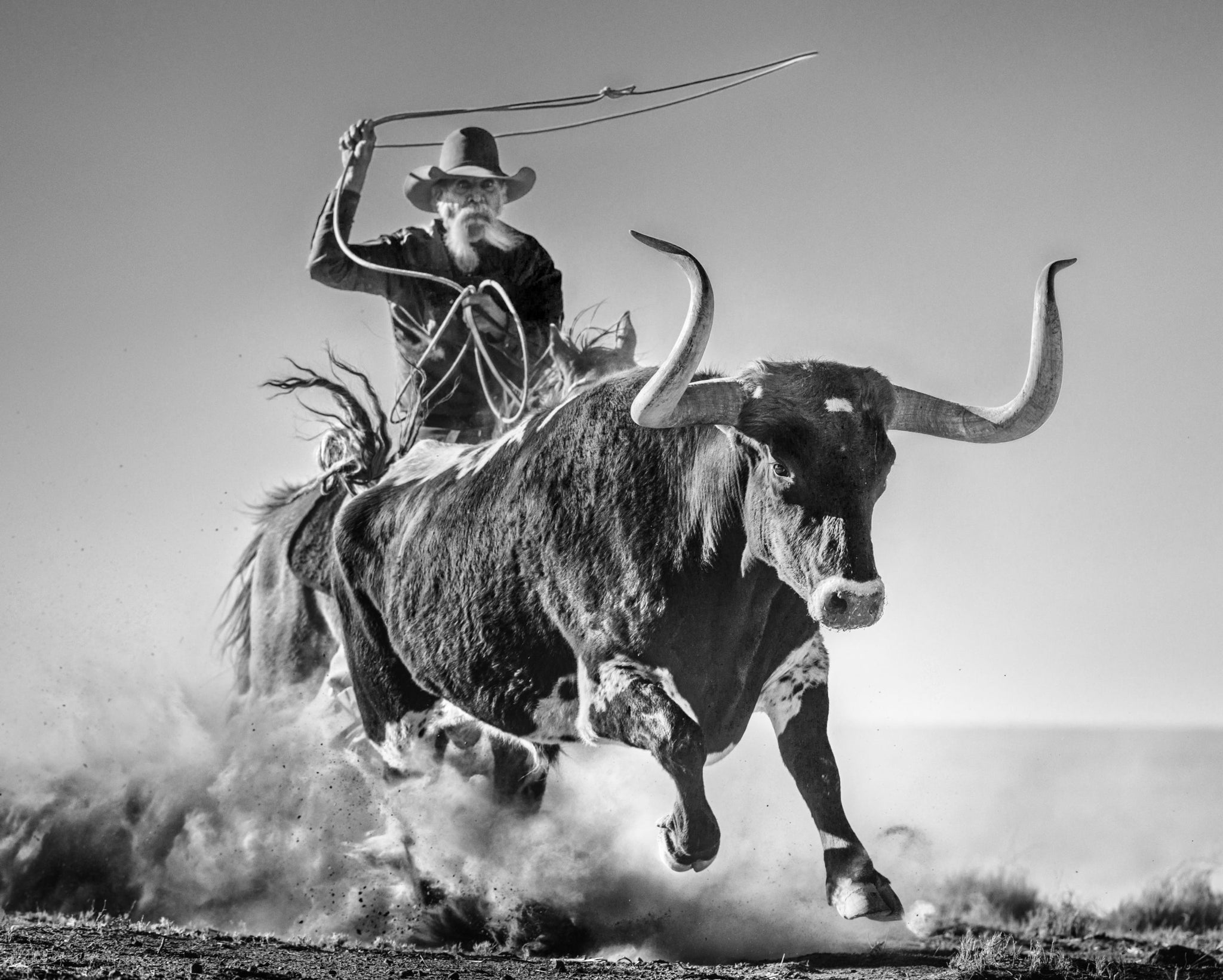 Ain't my first rodeo