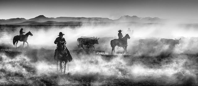 Drovers by David Yarrow, limited edition photography