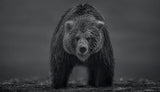 Bearish