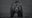Bearish by David Yarrow, limited edition photography