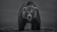 Bearish