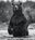 Brutus by David Yarrow, limited edition photography