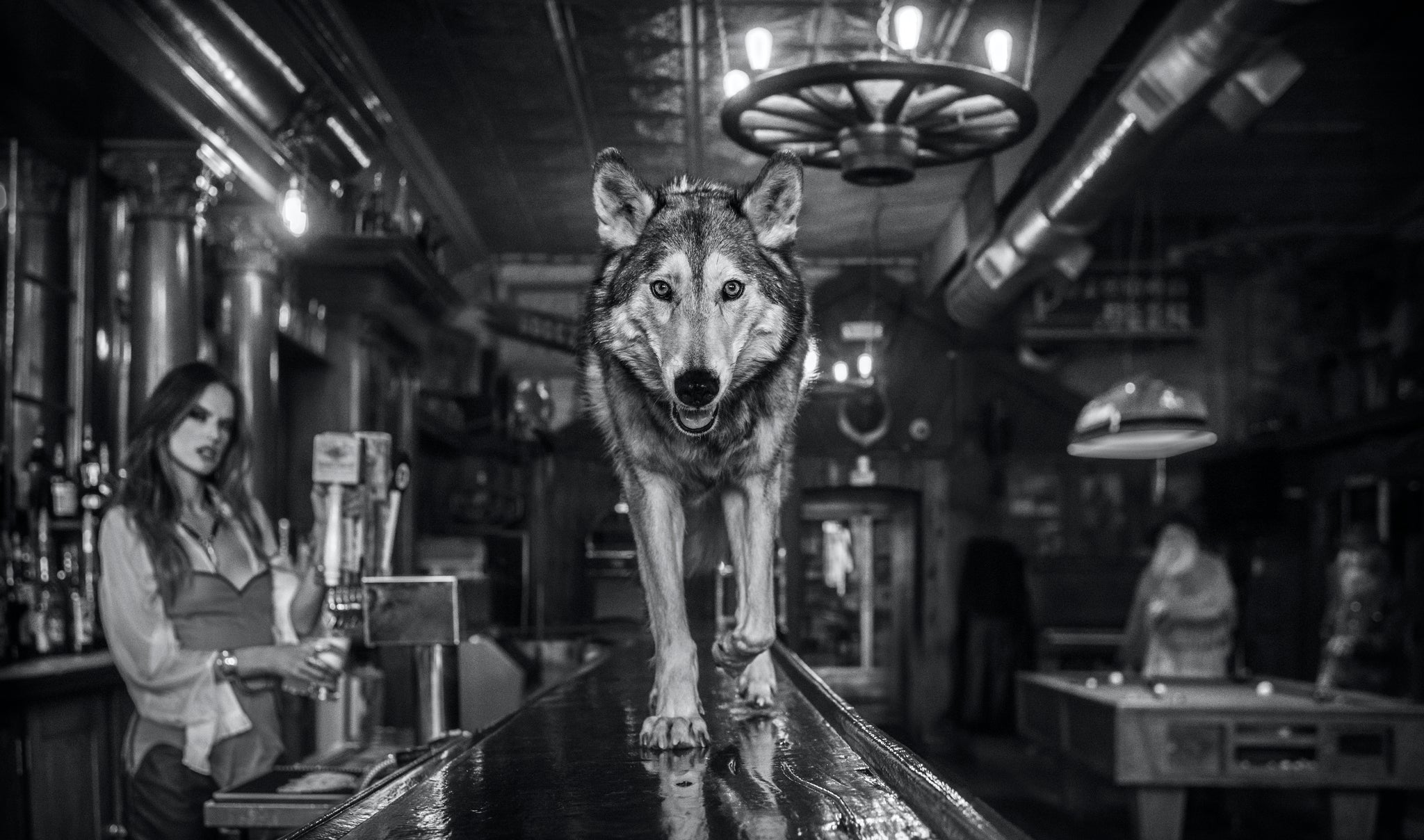 Friday Night at the Pioneer