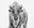 Ice Age by David Yarrow, limited edition photography