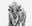 Ice Age by David Yarrow, limited edition photography