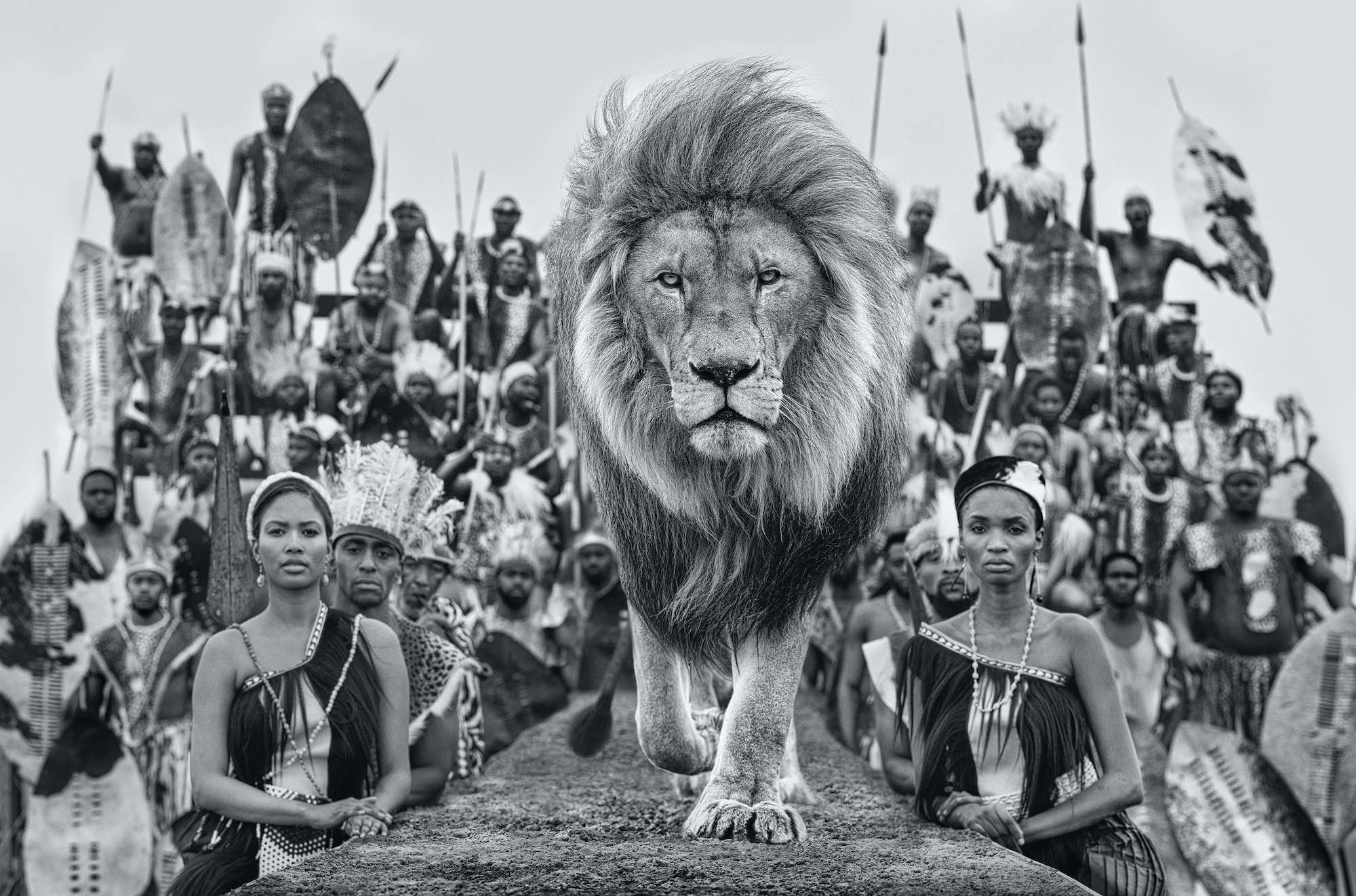Catwalk by David Yarrow, limited edition photography