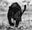 Marvel by David Yarrow, limited edition photography
