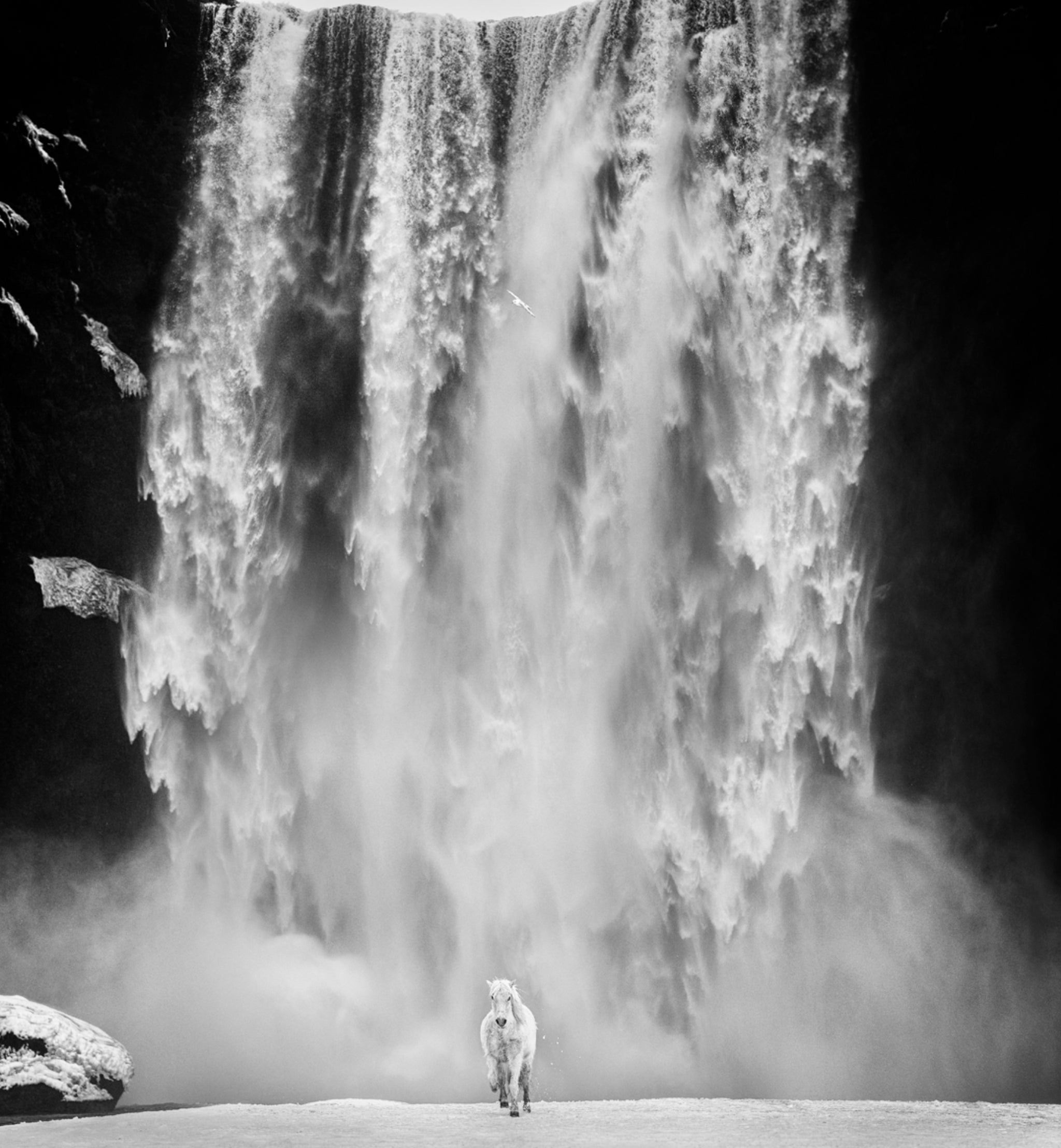 Norse by David Yarrow, limited edition photography