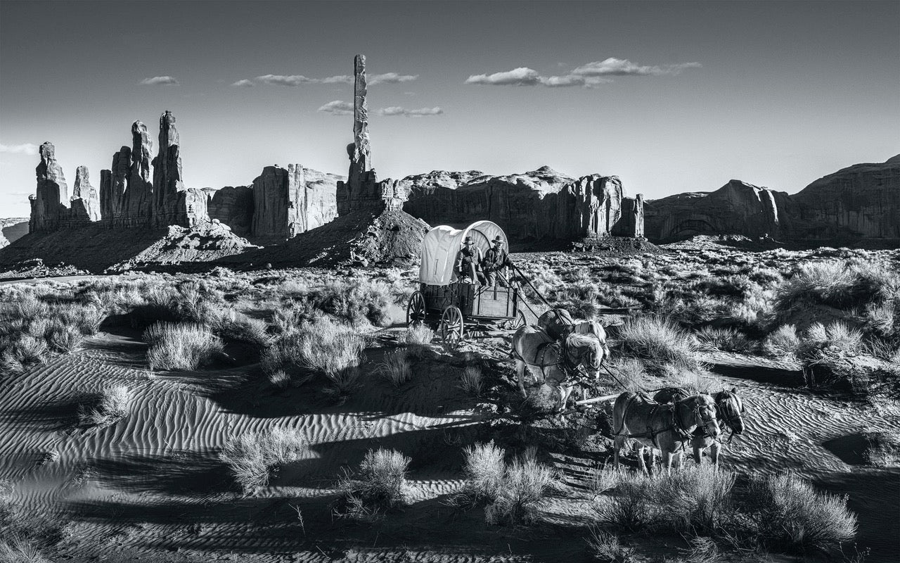 Hostile Territory by David Yarrow, limited edition photography