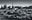 Hostile Territory by David Yarrow, limited edition photography