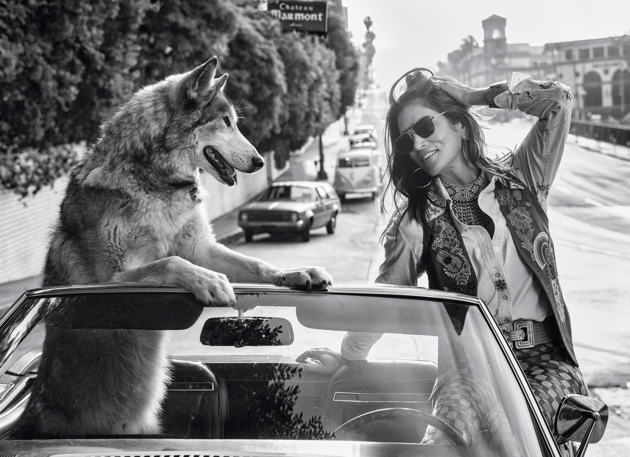 The fox and hound by David Yarrow, limited edition photography