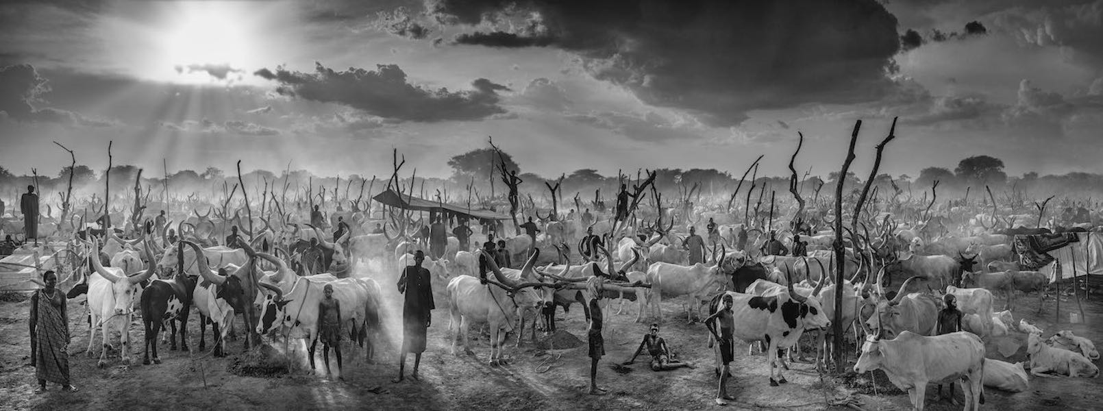 The New Testament by David Yarrow, limited edition photography