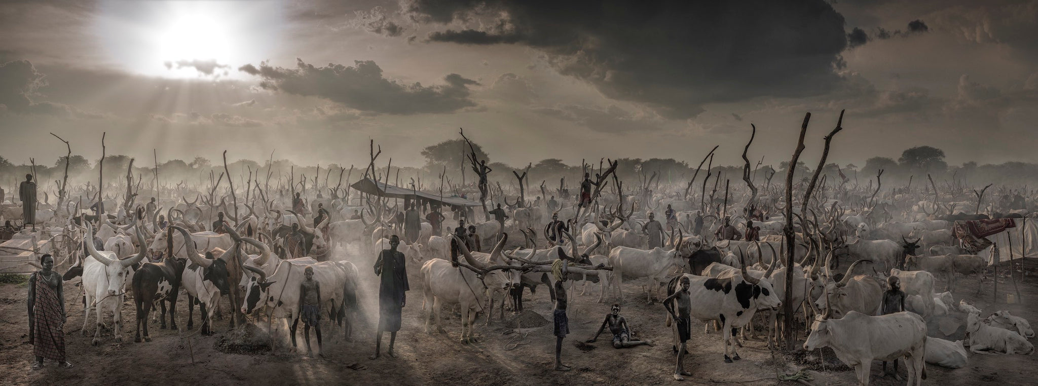 The New testament (colour) by David Yarrow, limited edition photography