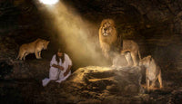 The book of Daniel (colour)