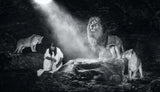The book of Daniel