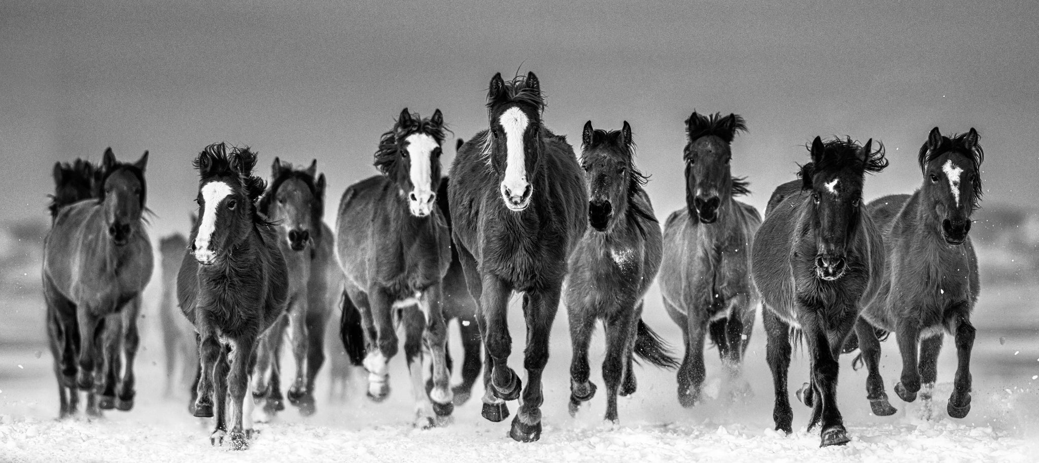 The Rolling Stones by David Yarrow, limited edition photography