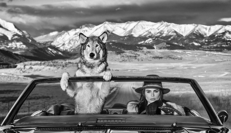 Montana by David Yarrow, limited edition photography