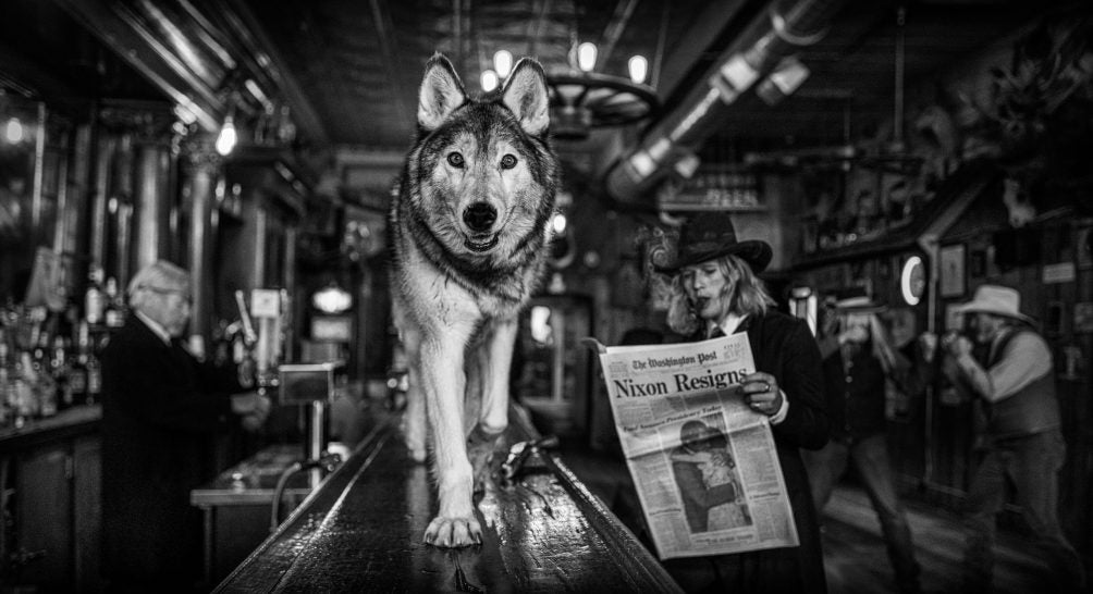 Watergate by David Yarrow, limited edition photography