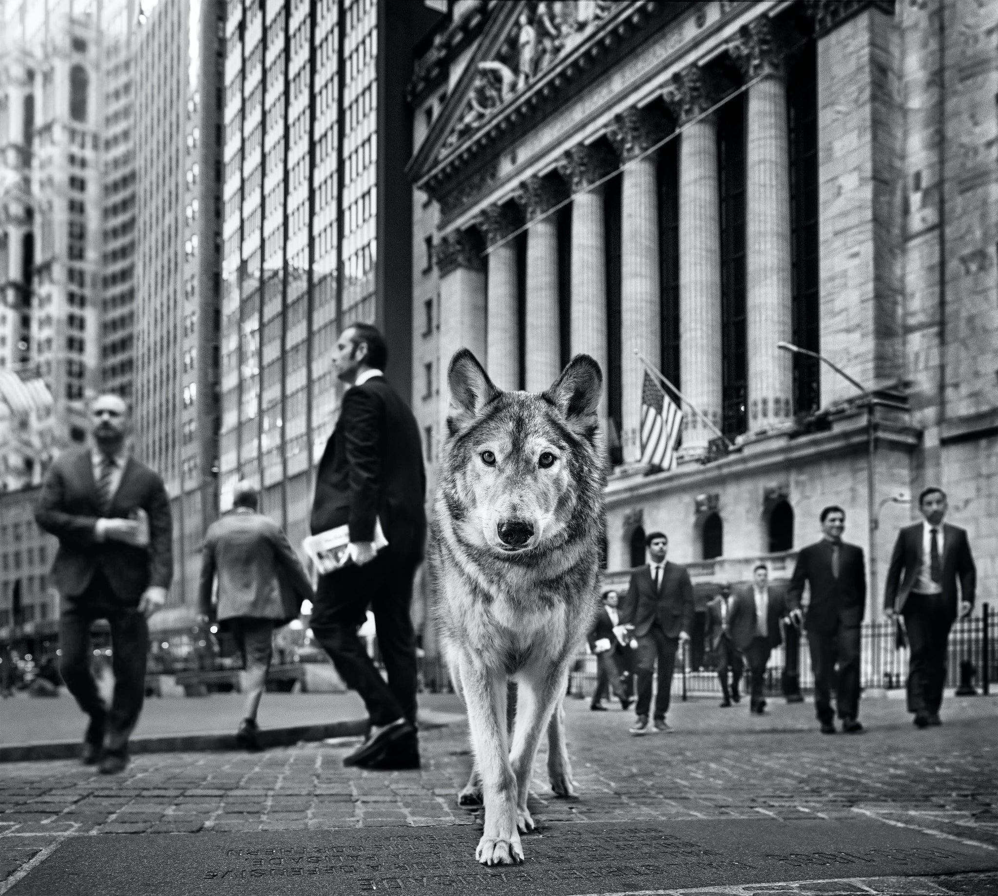 Wall Street by David Yarrow, limited edition photography