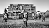 The Longhorn Saloon