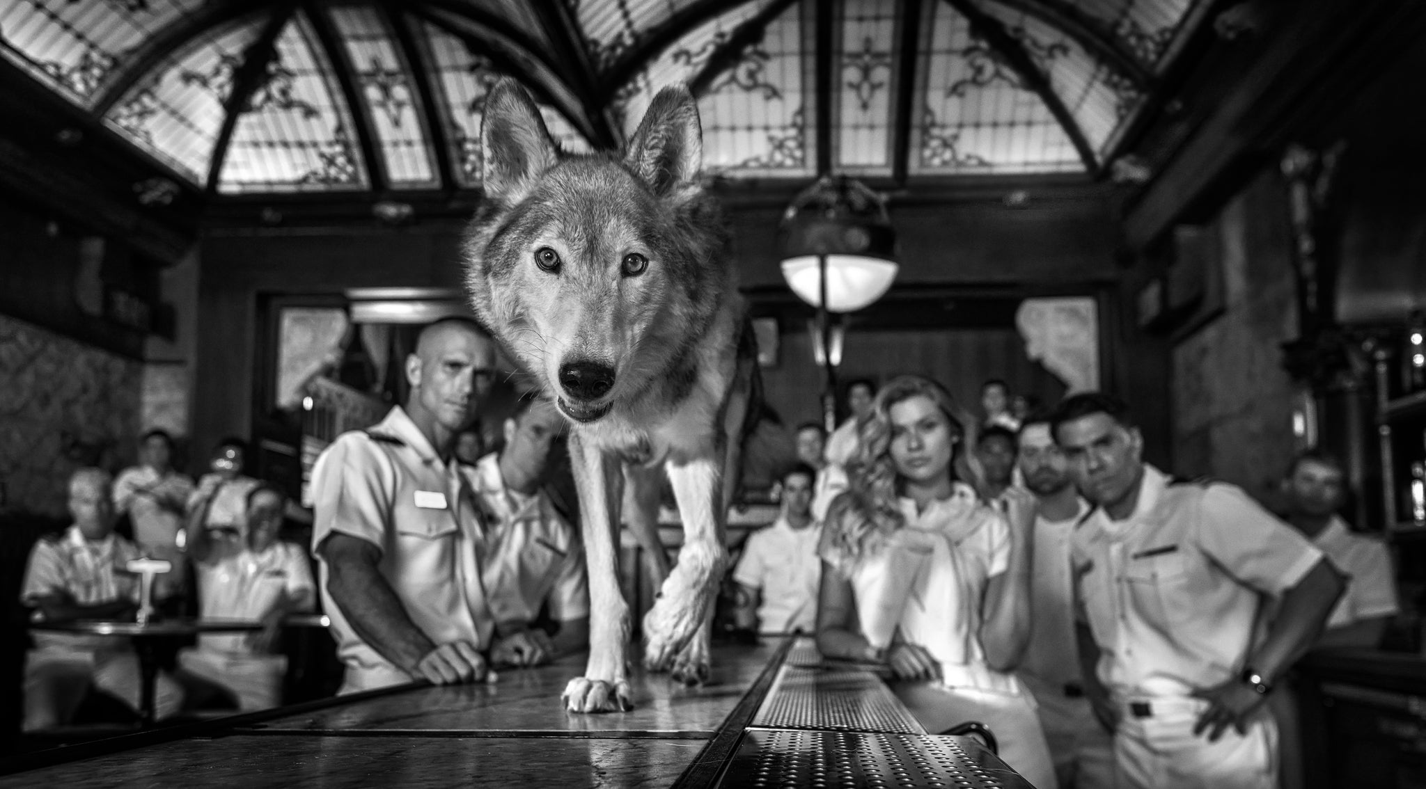 Top Gun by David Yarrow, limited edition photography