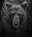 Wet Wet Wet by David Yarrow, limited edition photography