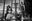 Oil by David Yarrow, limited edition photography