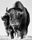 Snow Monster by David Yarrow, limited edition photography