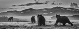 Bear Market