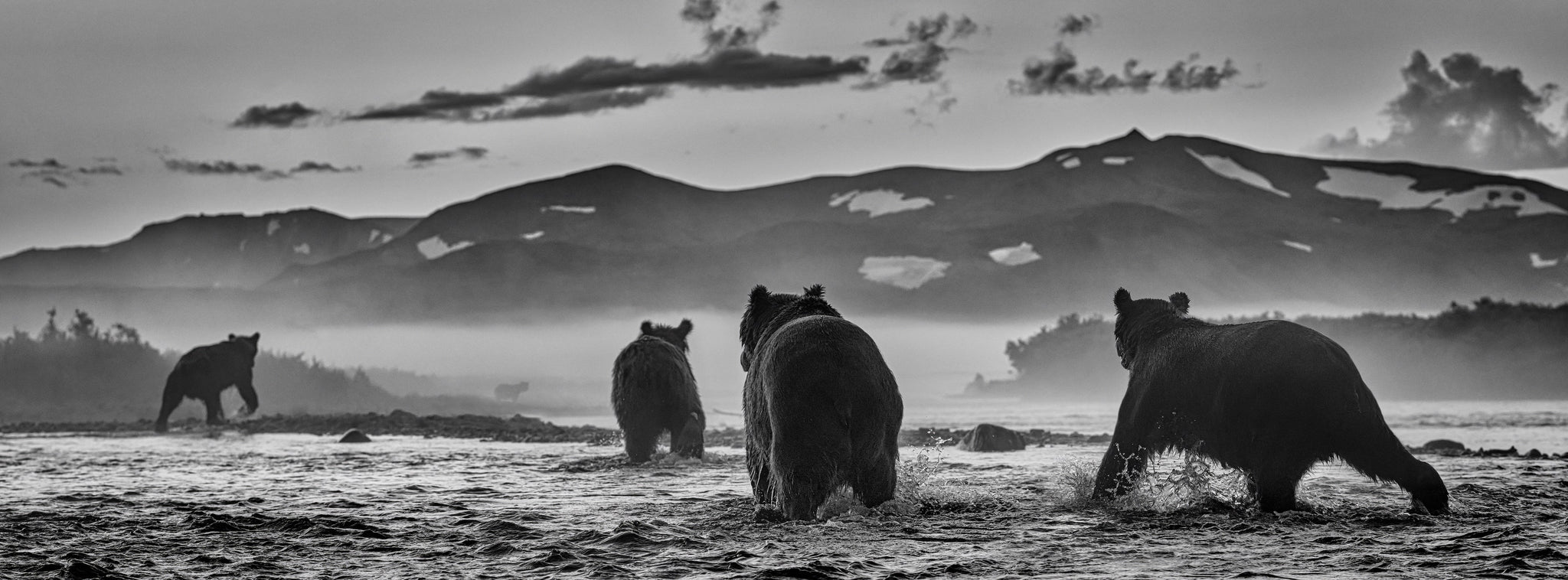 Bear Market