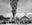 Purgatory by David Yarrow, limited edition photography