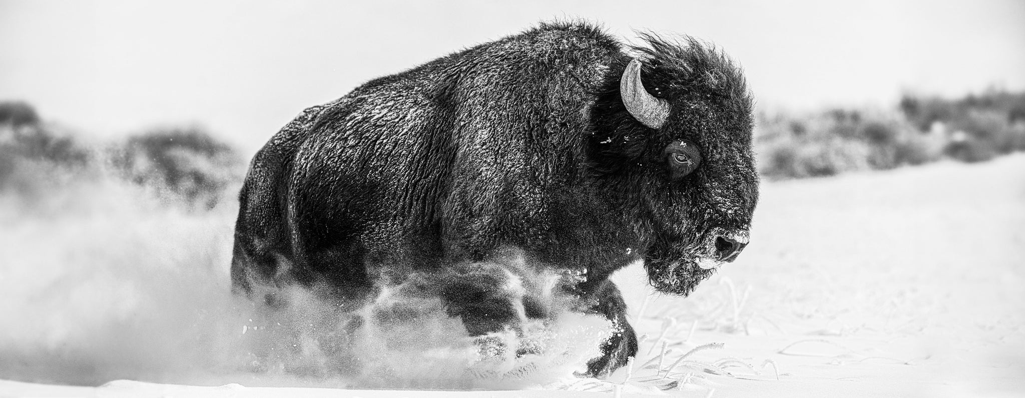 Frozen Mountain by David Yarrow, limited edition photography