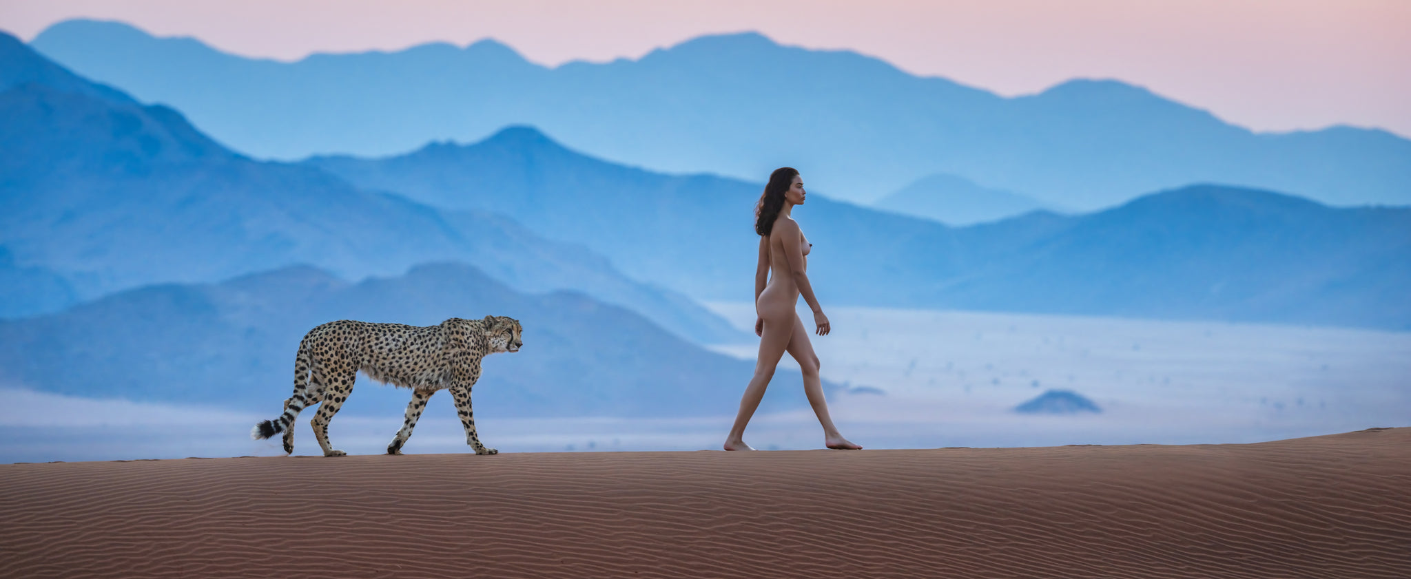 Eternity (Colour) by David Yarrow, limited edition photography