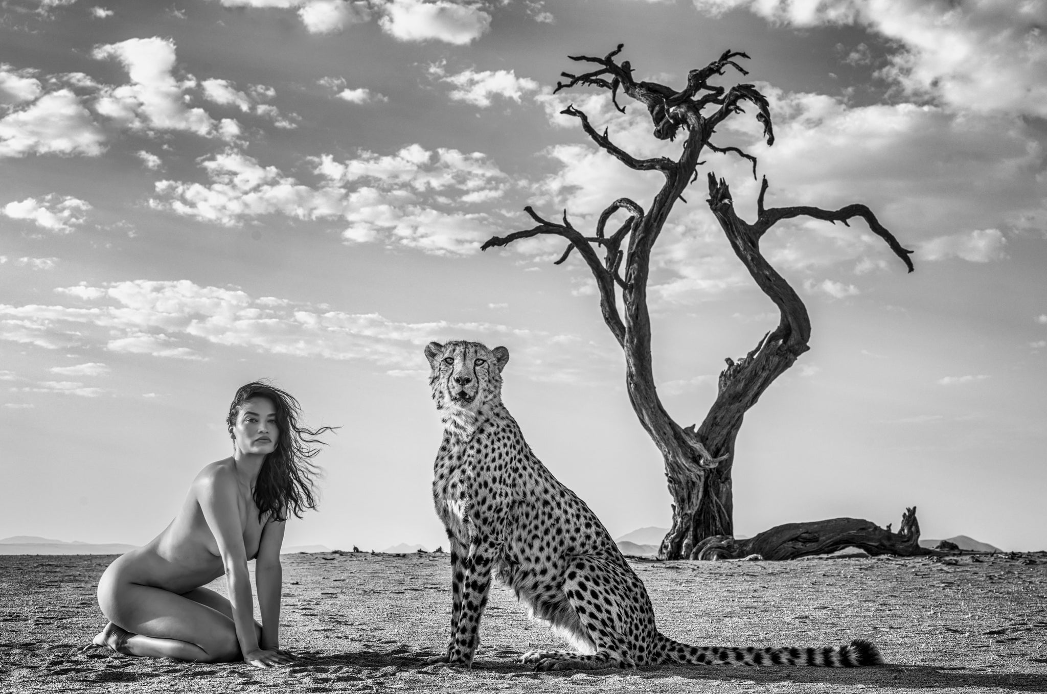 Enjoy the Silence by David Yarrow, limited edition photography