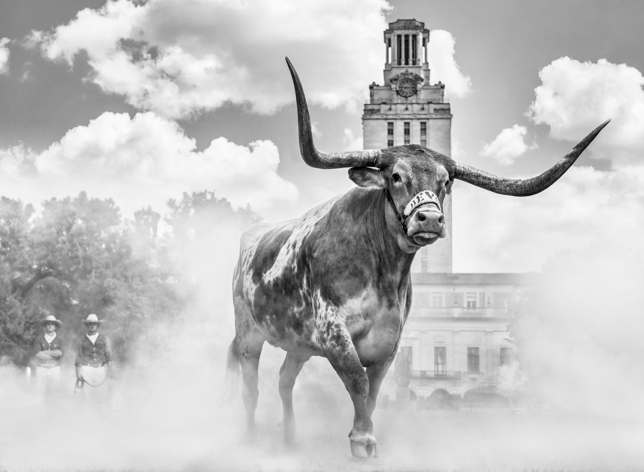 Hook 'Em Horns by David Yarrow, limited edition photography