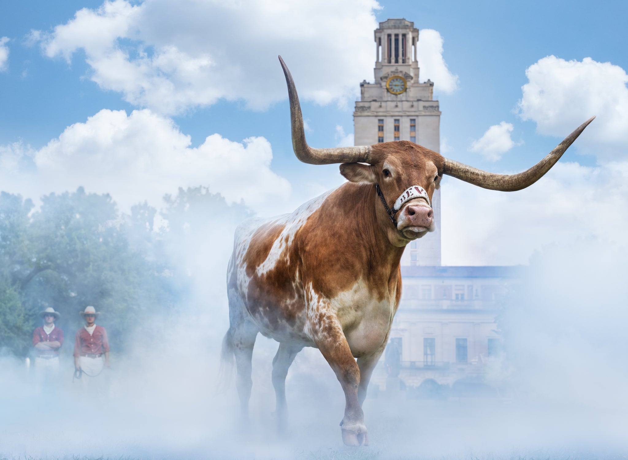 Hook 'Em Horns (Colour) by David Yarrow, limited edition photography