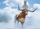 Hook 'Em Horns (Colour)