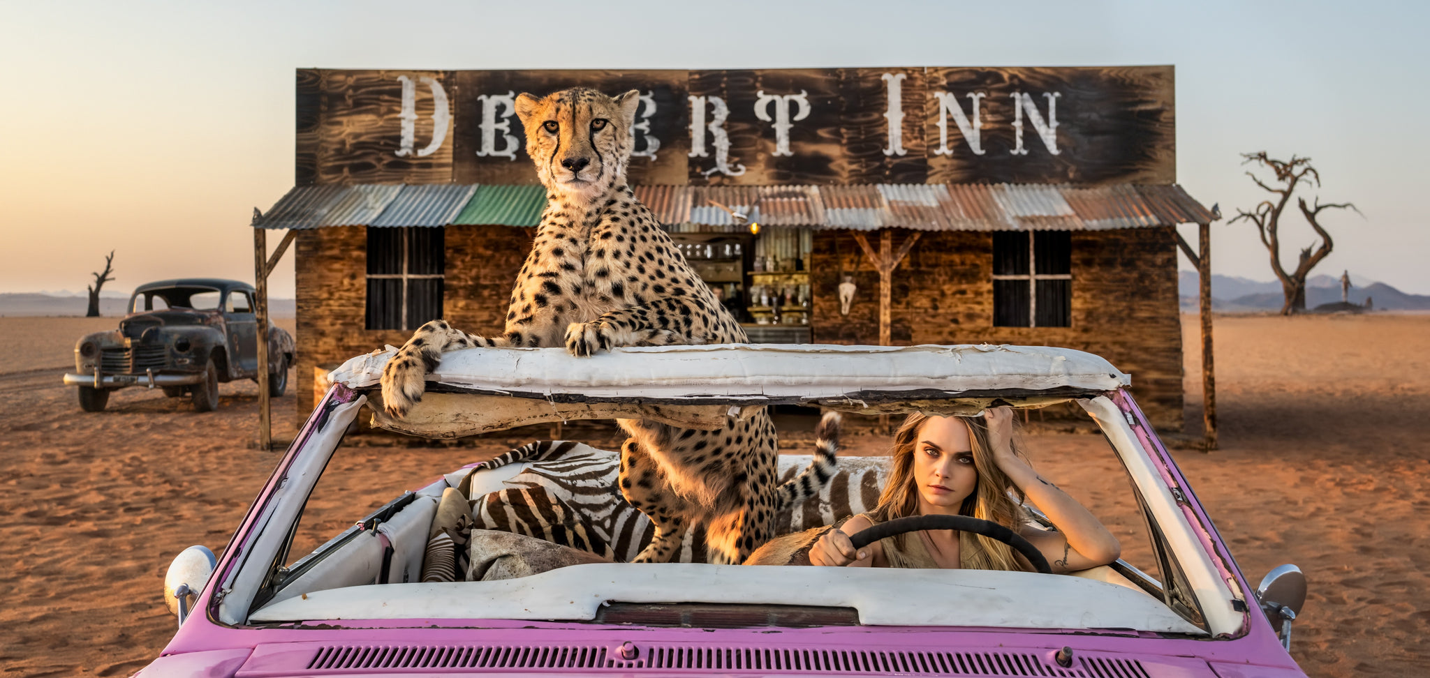 Bad Asses (colour) by David Yarrow, limited edition photography