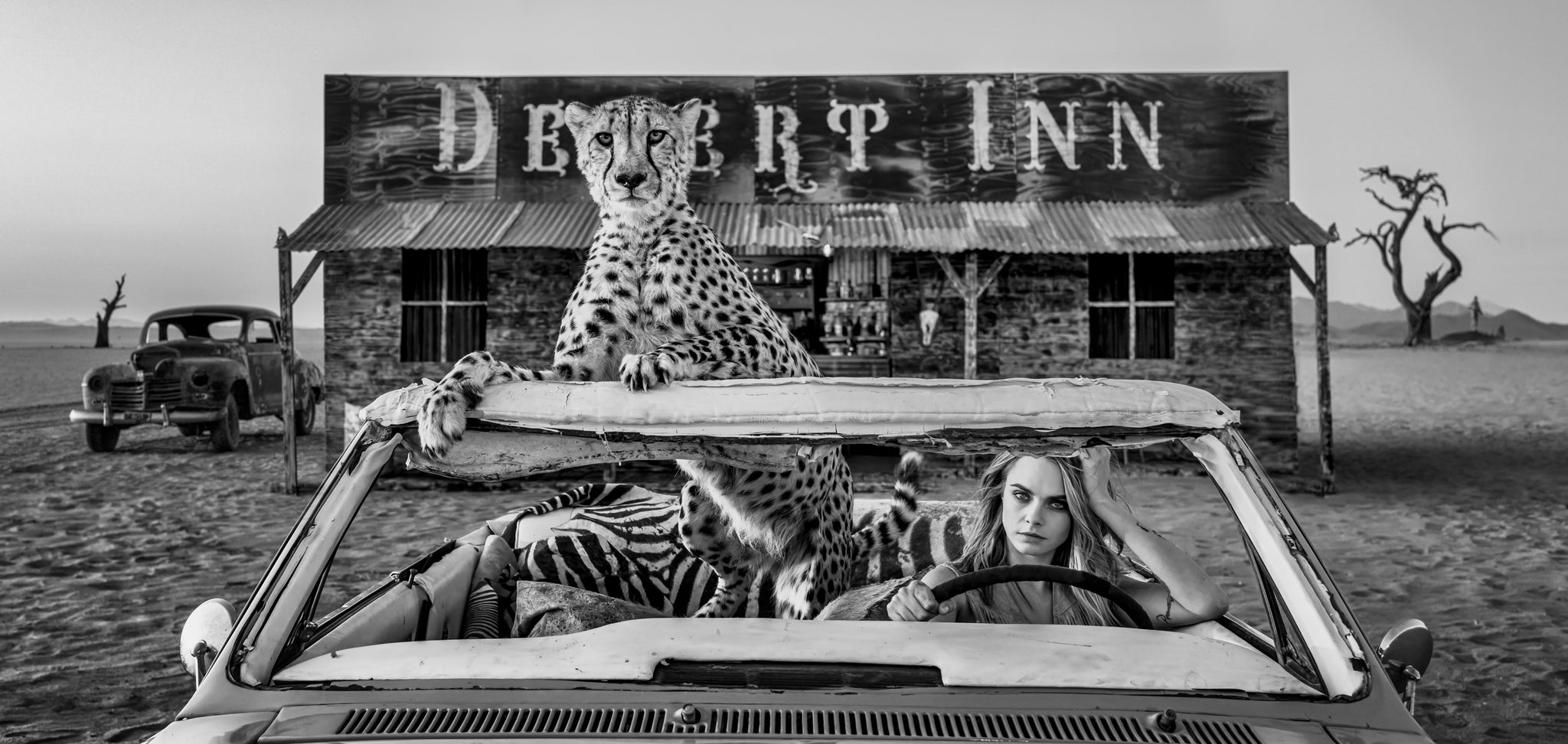Bad Asses by David Yarrow, limited edition photography