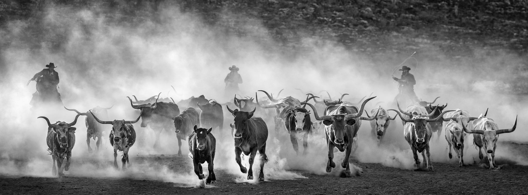 Lonesome Dove by David Yarrow, limited edition photography
