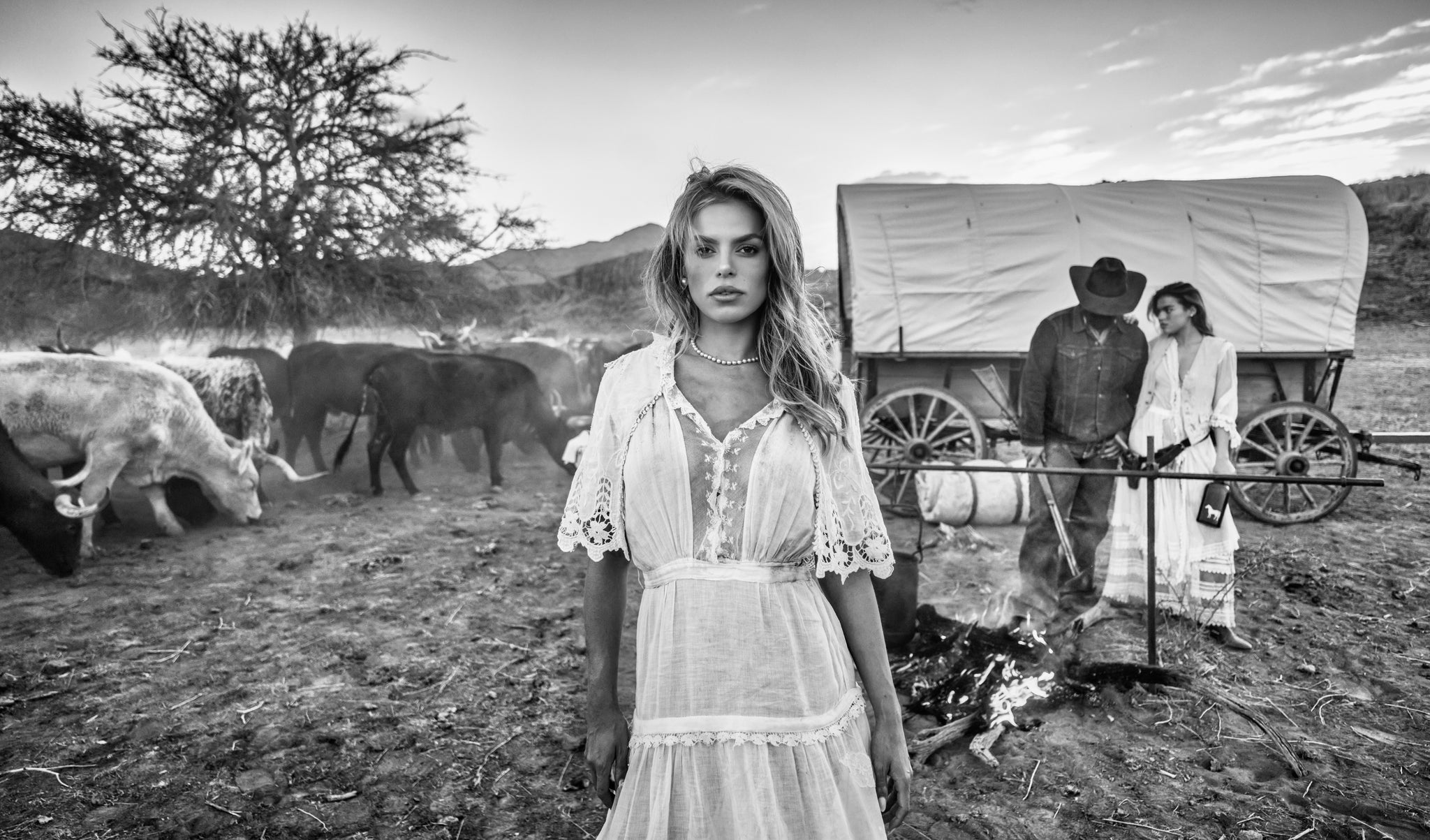 All My Ex's Live in Texas by David Yarrow, limited edition photography