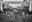 All Nighter in Cowtown by David Yarrow, limited edition photography